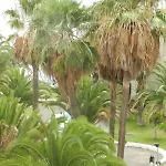 Apartment Beach-front Tenerife Sth Sea And Pool View Costa Del Silencio