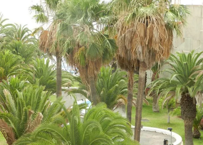 דירה Beach-front Tenerife Sth Sea And Pool View קוסטה דל סילנסיו